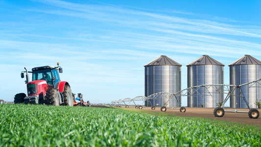 Nourishing the Roots: Unveiling the Toll of Industrial Farming on Nutritional Quality